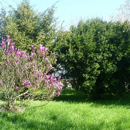 Gite La Cibulle Maille  Exterior photo