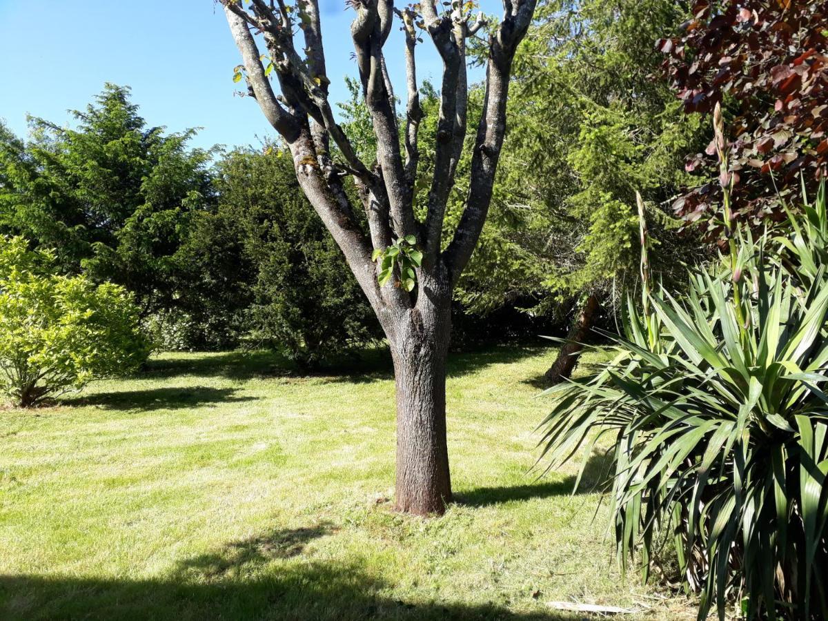 La Cibulle