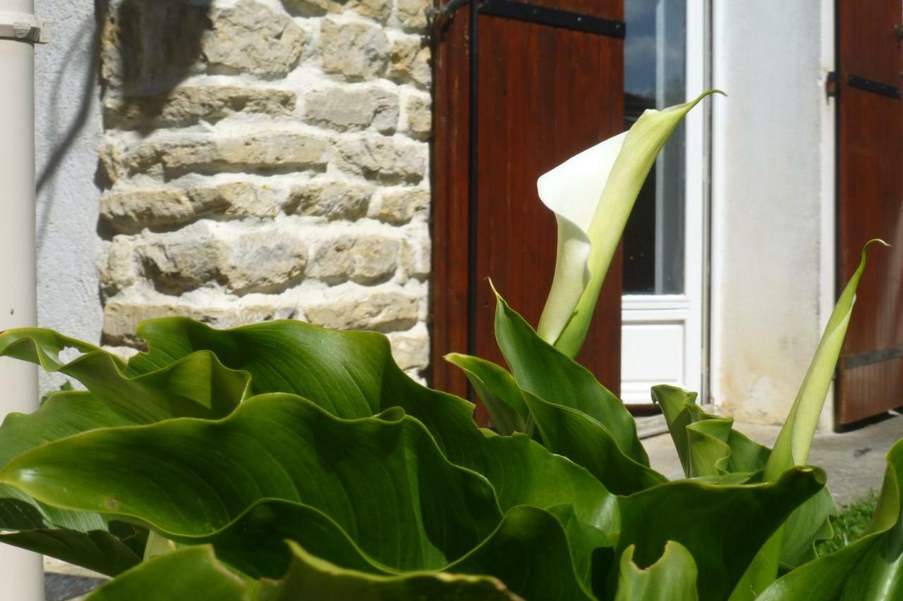 La Cibulle Vakantiehuis Maille (Vendee)