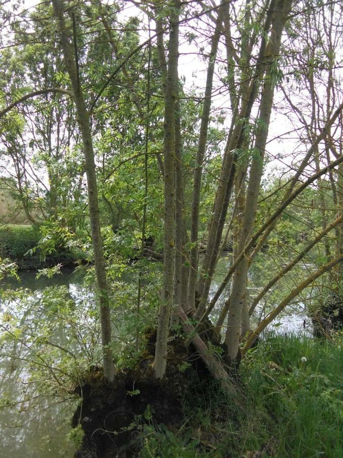 Hébergement de vacances La Cibulle Maille (Vendee)