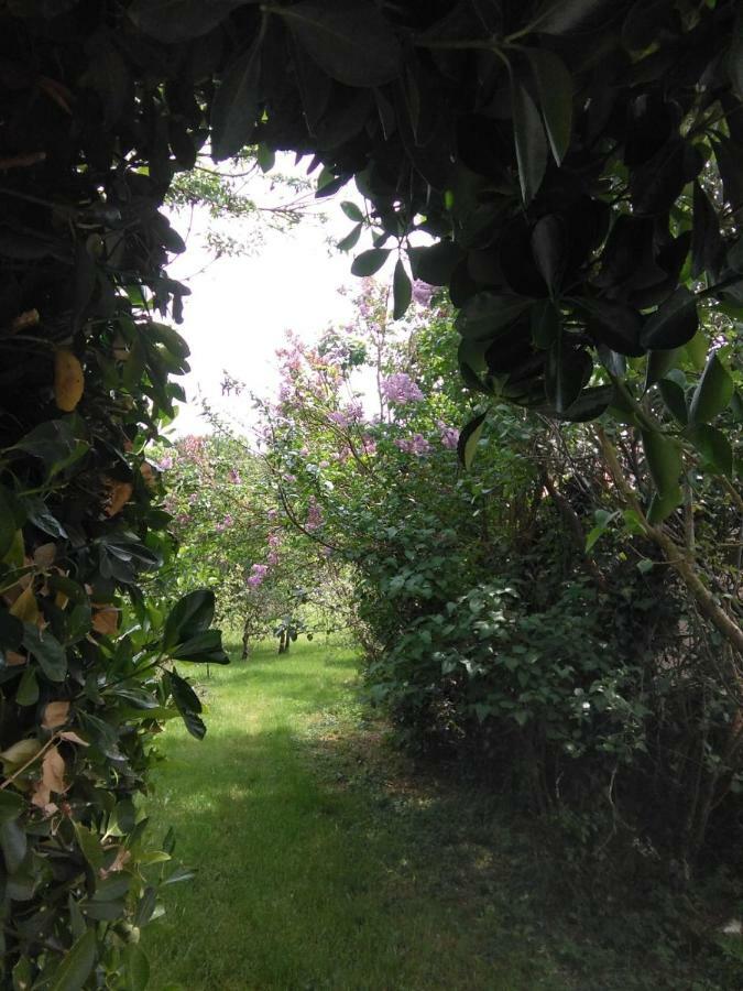 La Cibulle Hébergement de vacances *