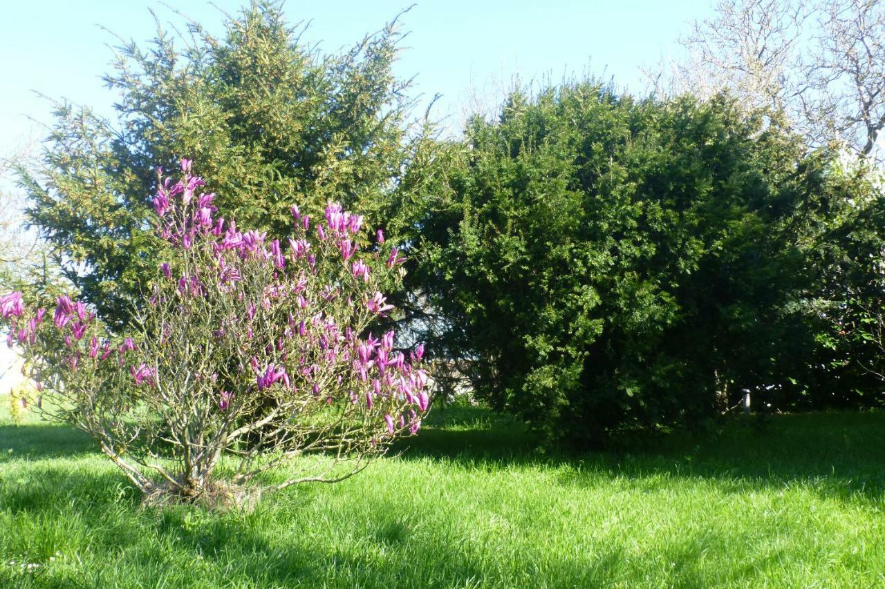 La Cibulle Hébergement de vacances *